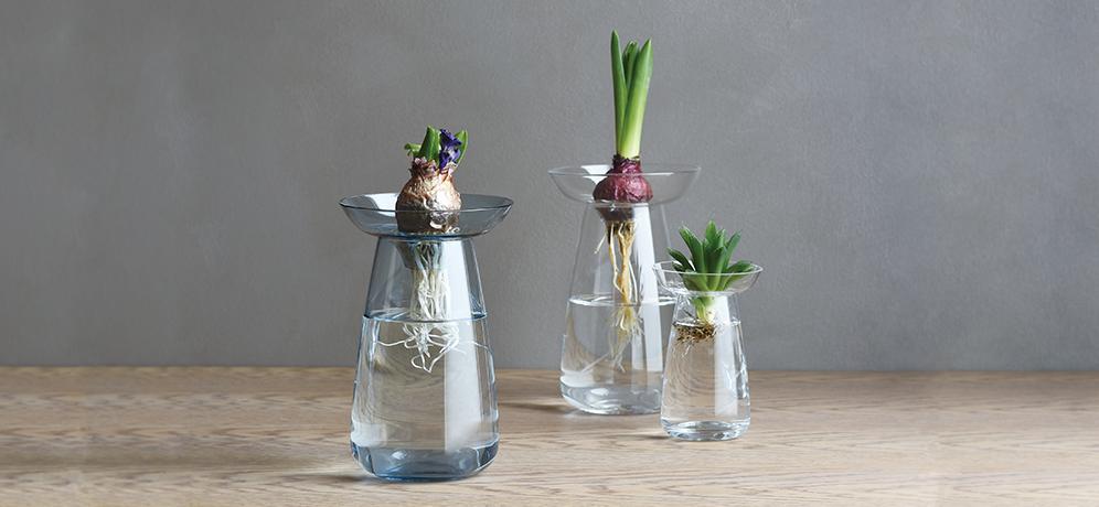 AQUA CULTURE VASE 80mm / 3in